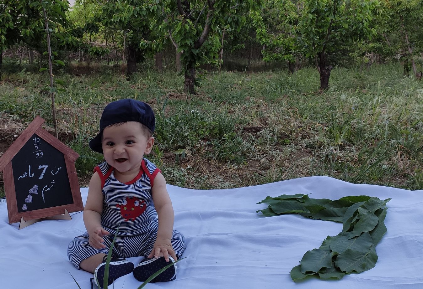 خانه-و-دکور-36926