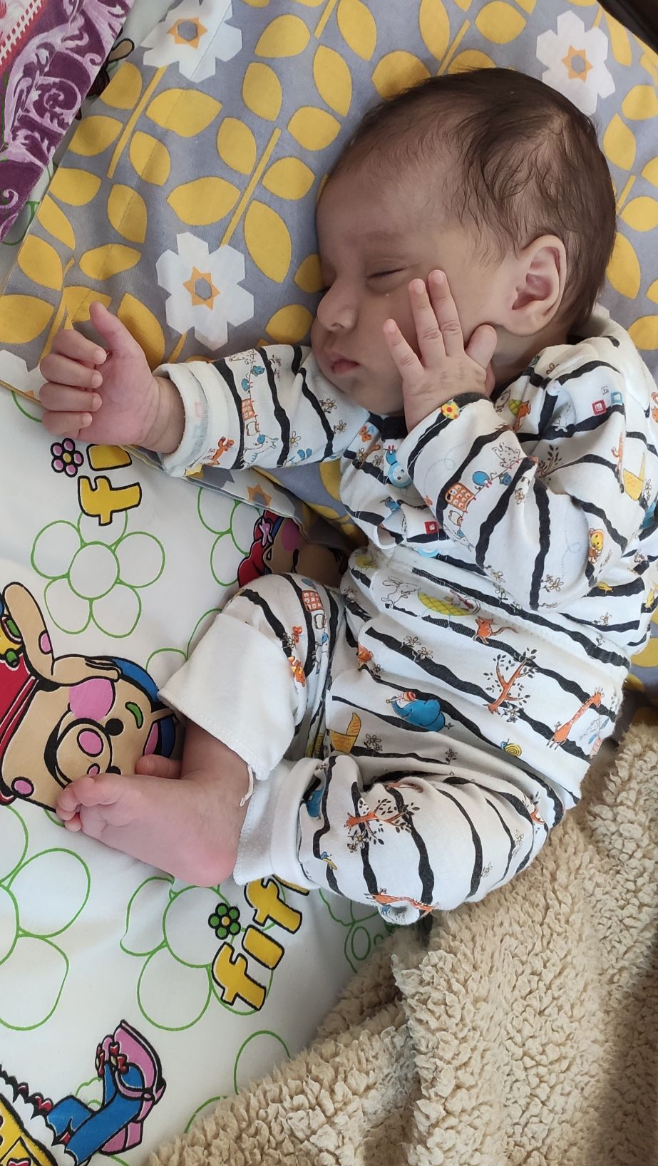 لالا کردنم مهرسام میرتیموری