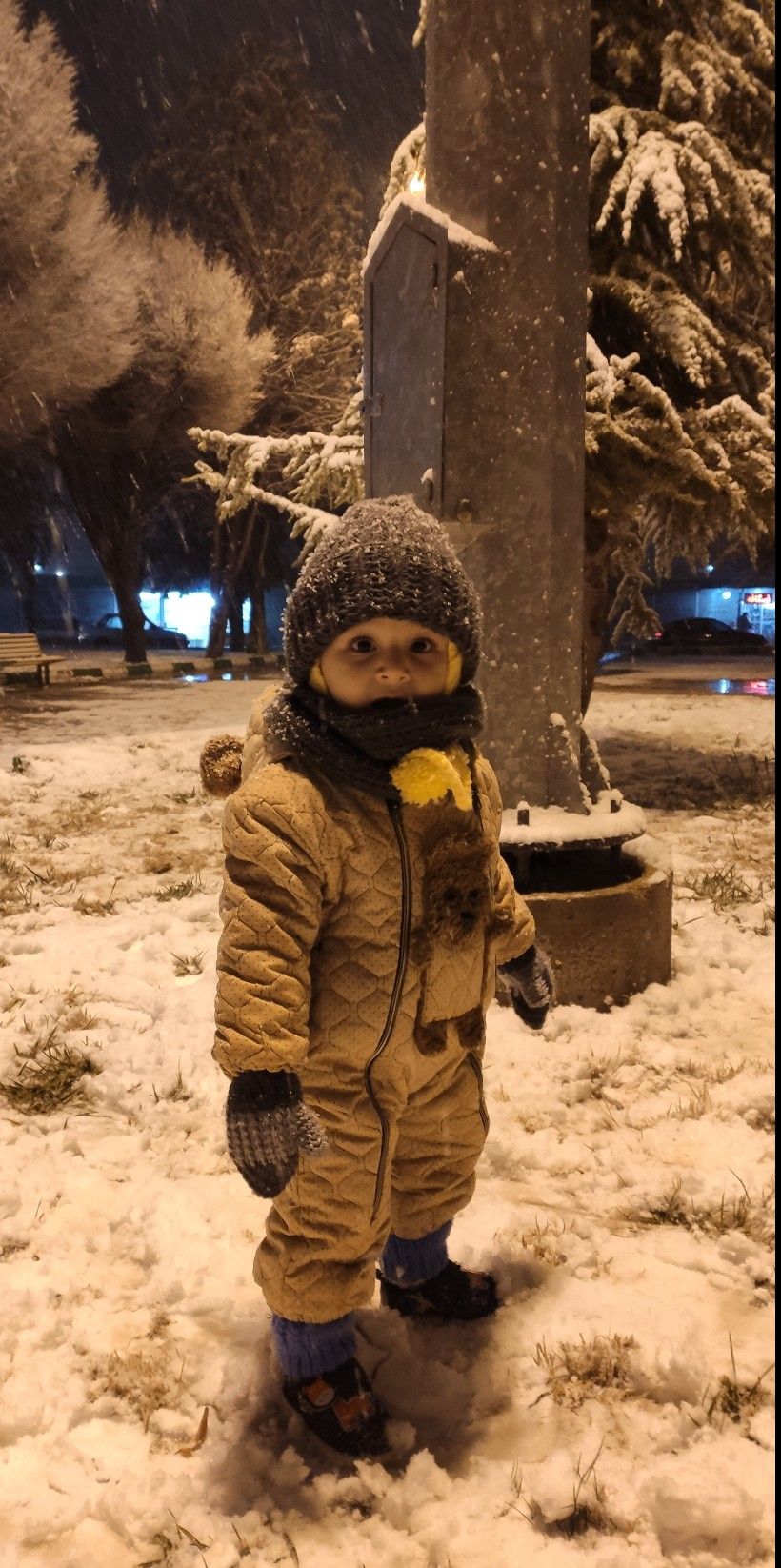 عکس-زمستان مهرسام میرتیموری