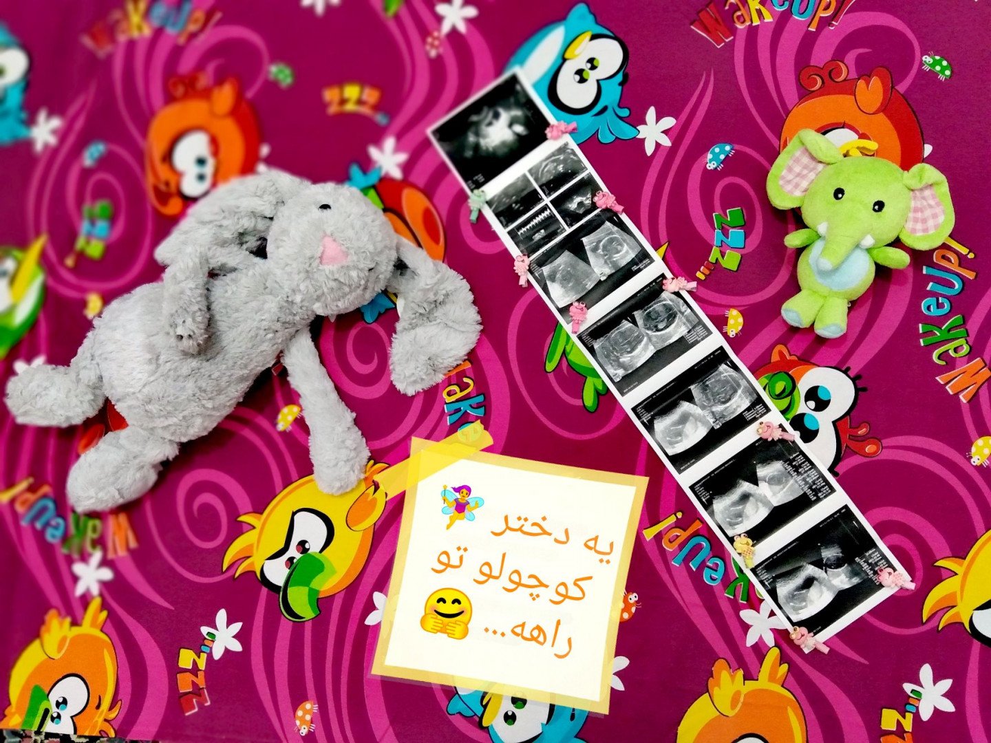 بارداری مایسا رضازاده