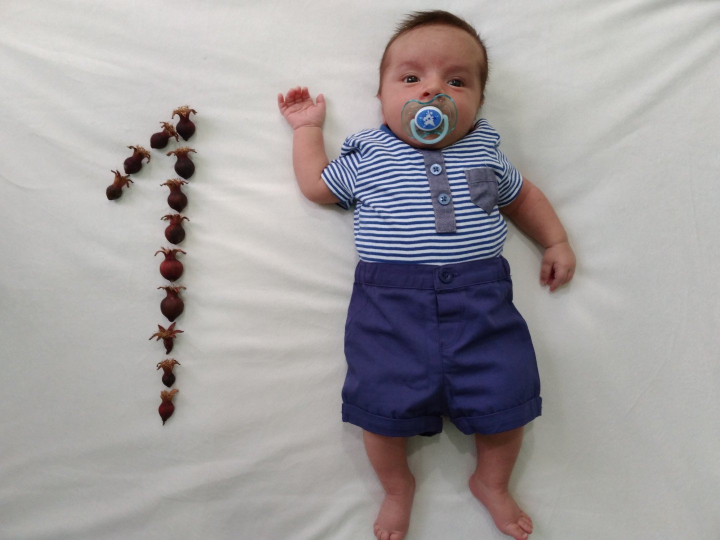 یک ماهگی نوزاد امیررضا امیری پارام