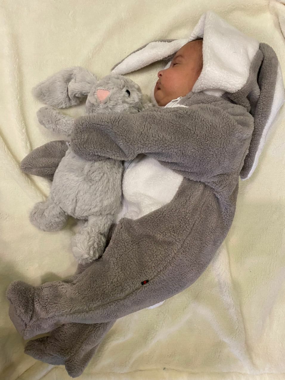 عروسک مورد علاقه آبتین فرجی