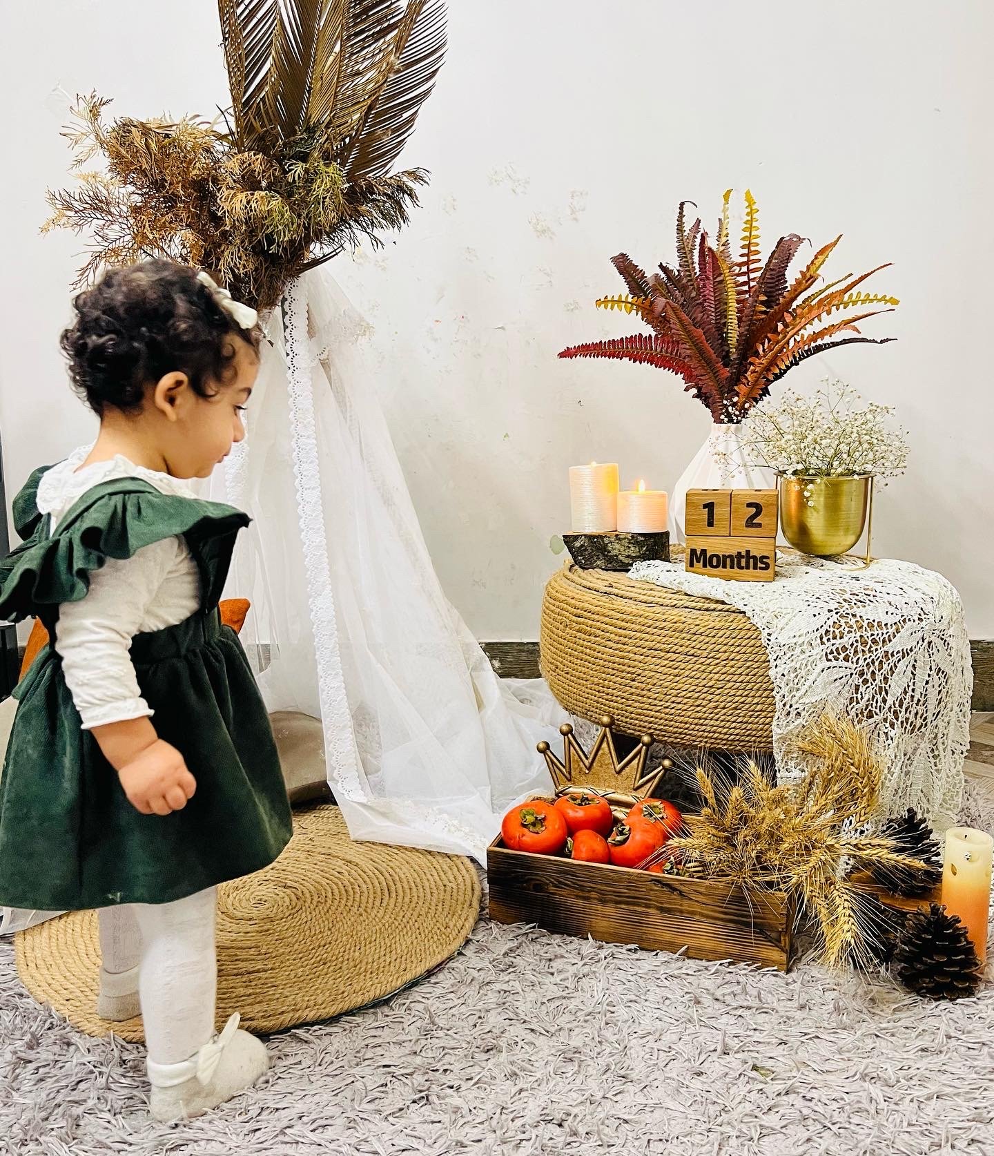 دوازده ماهگی نوزاد دلوین قلی نژاد