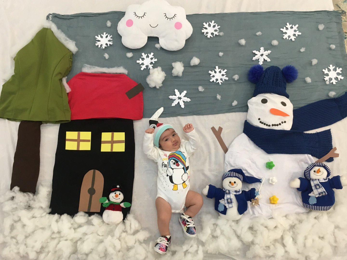 تم عکس زمستانی نوزاد دلوین قلی نژاد