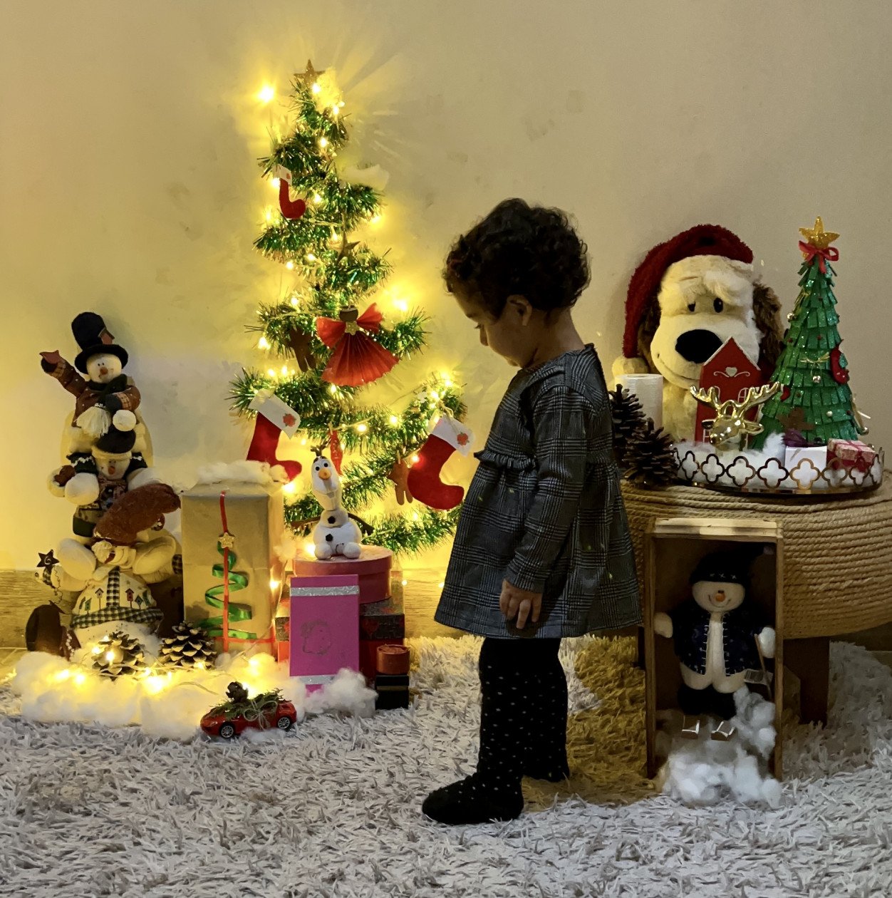 چهارده ماهگی_کودک دلوین قلی نژاد