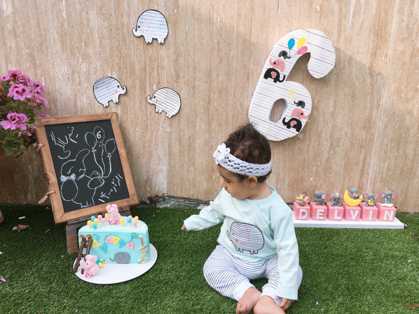 شش ماهگی نوزاد دلوین قلی نژاد