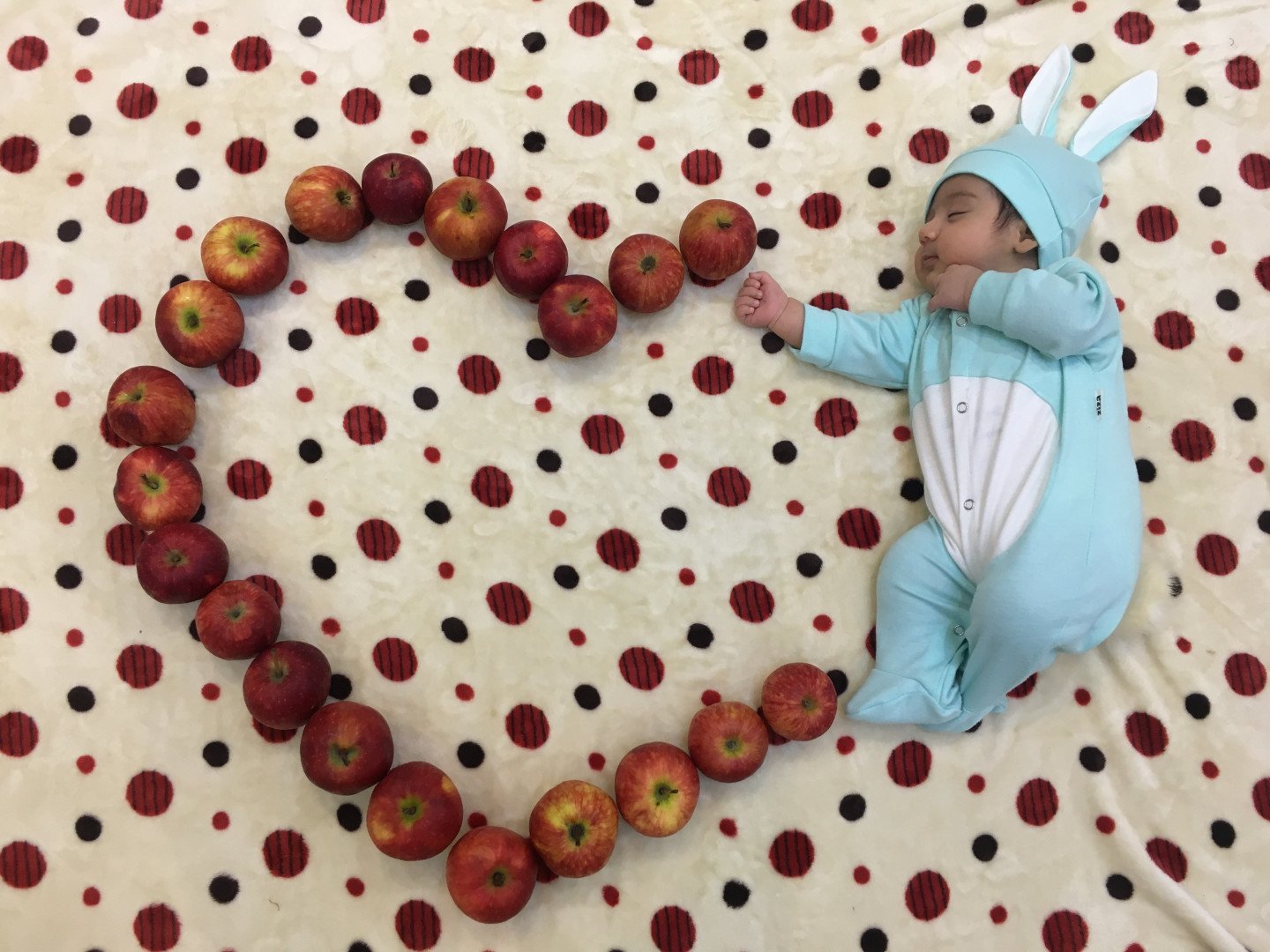 یک ماهگی نوزاد دلوین قلی نژاد