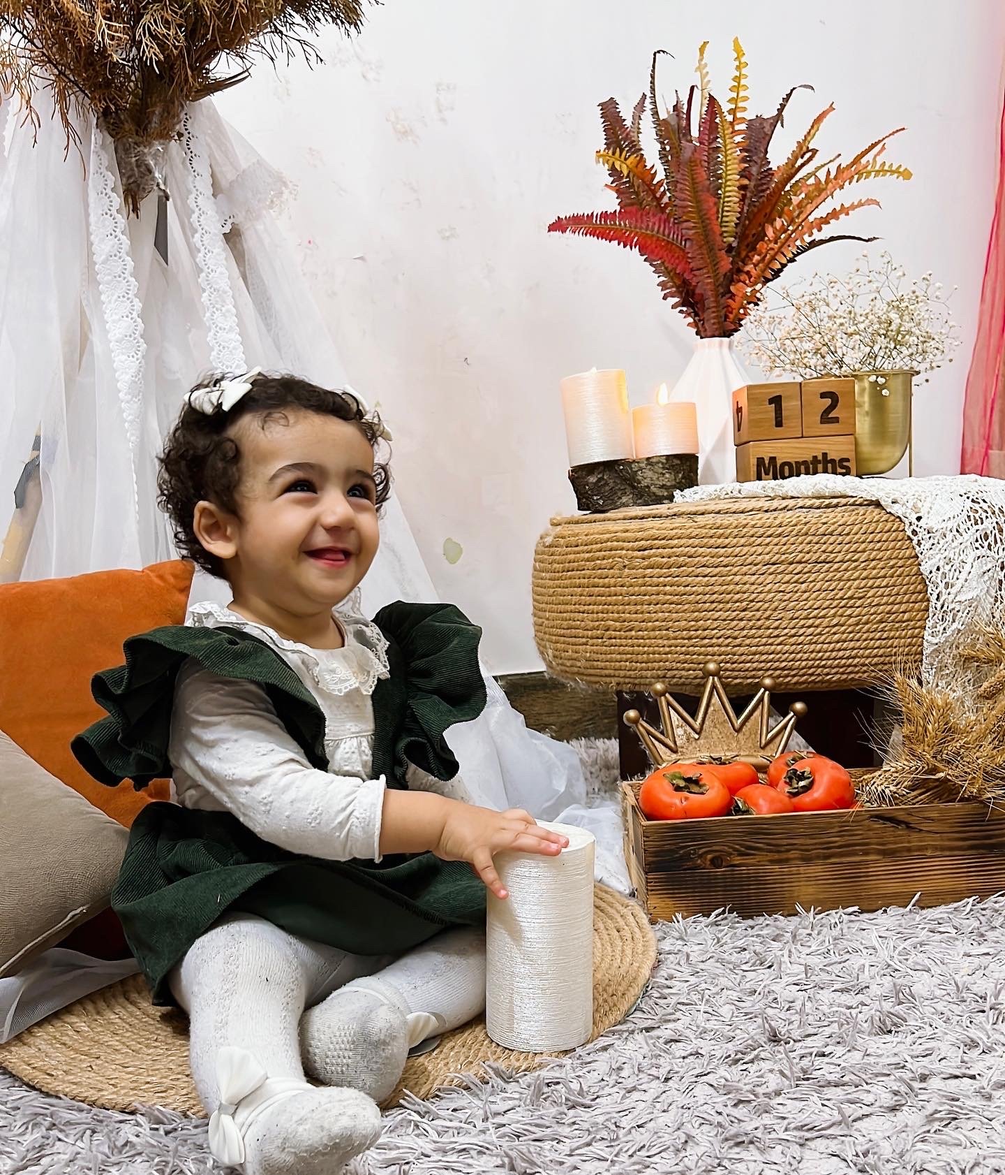 دوازده ماهگی نوزاد دلوین قلی نژاد