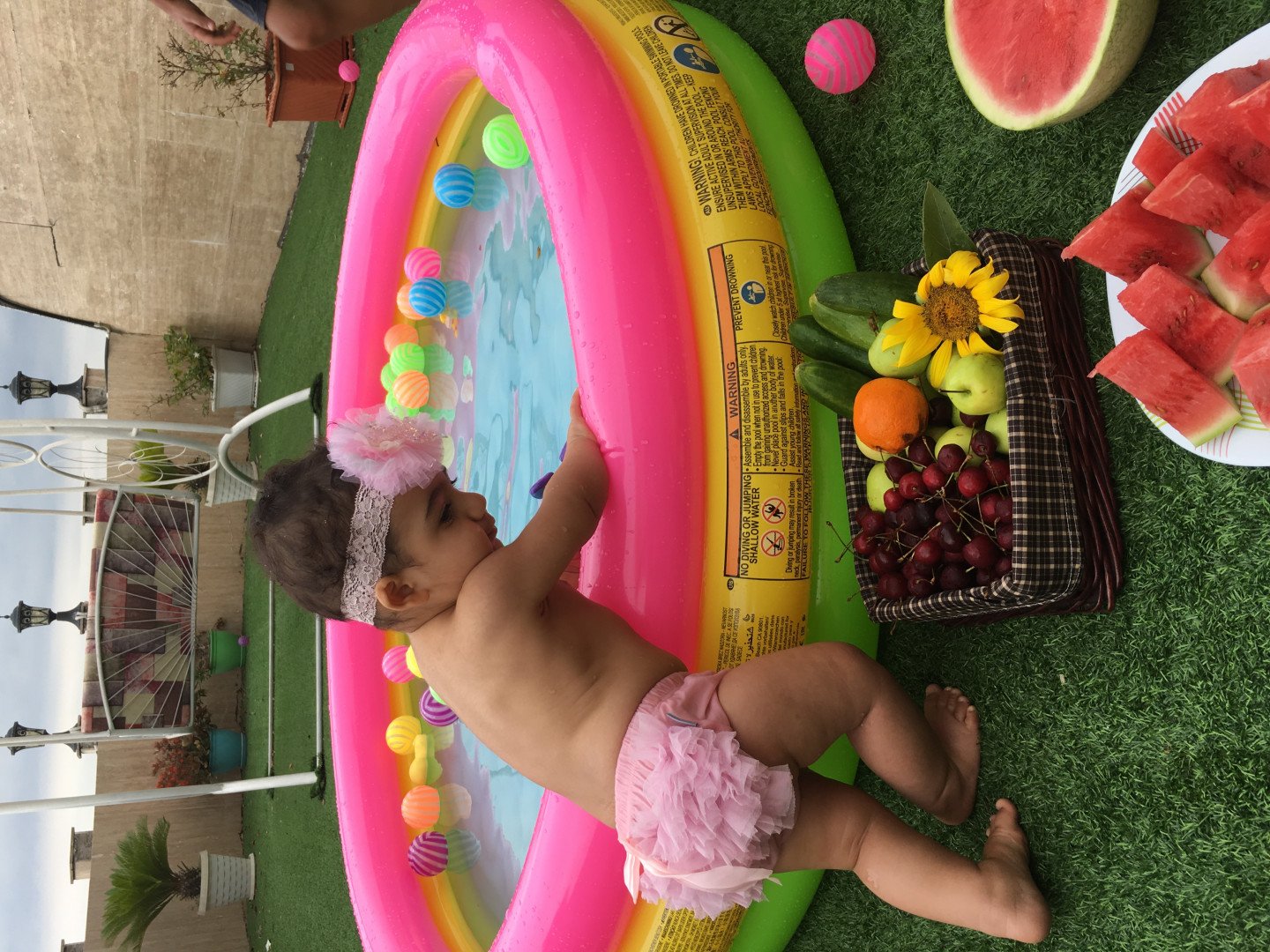 ایستادن نوزاد دلوین قلی نژاد