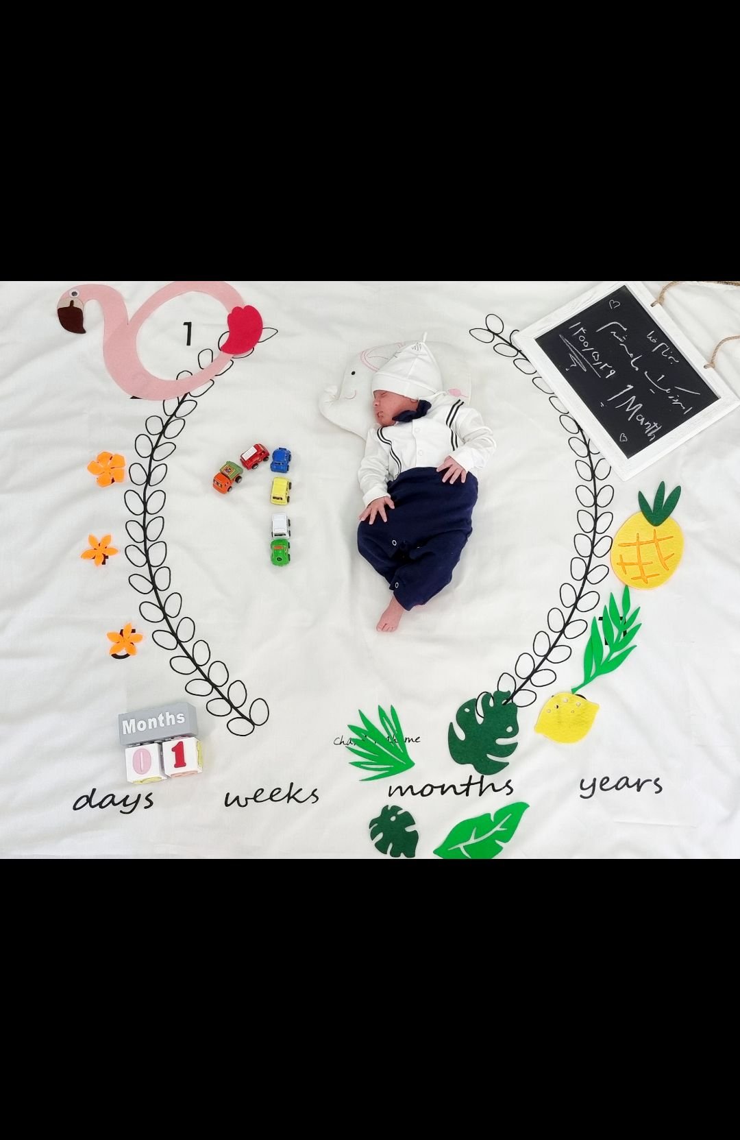 تم تابستانی مهرسام عرشیان