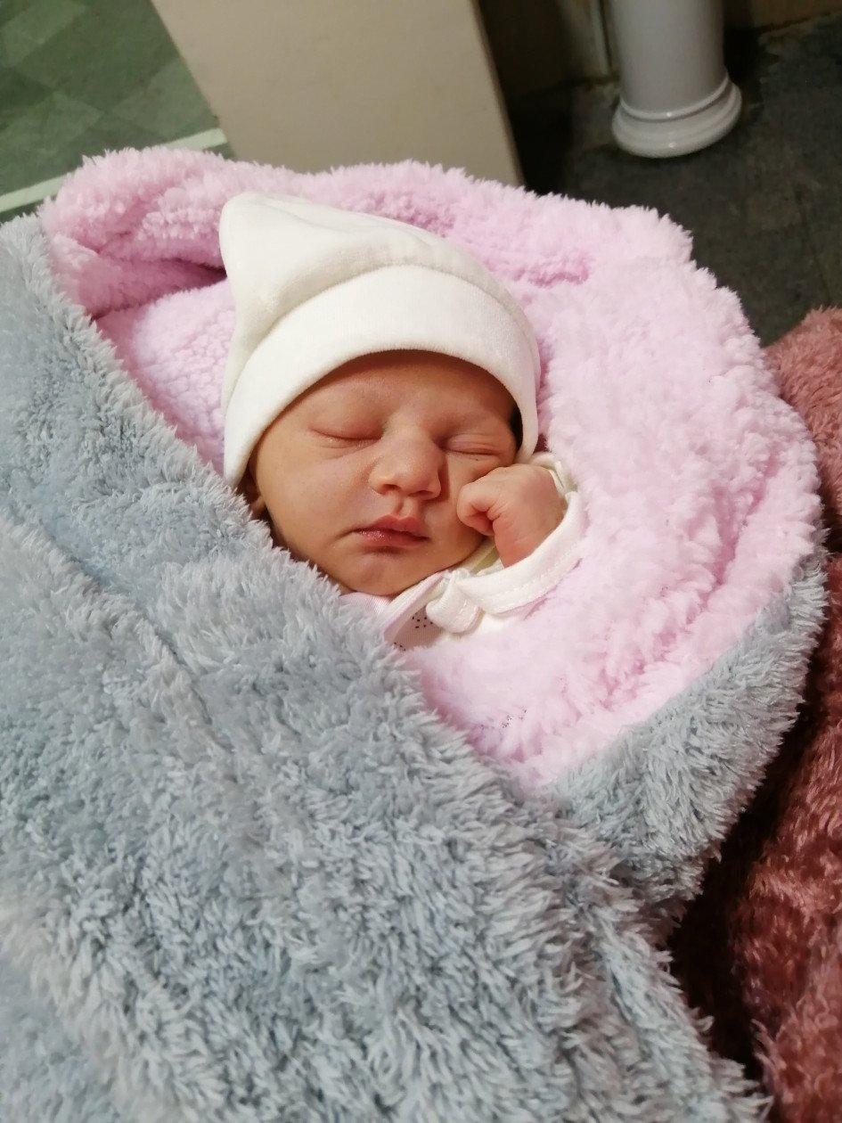 متولد شدن نوزاد ترنج ملکشاه