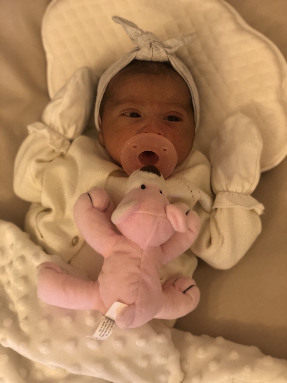 متولد شدن نوزاد دلان قدردان