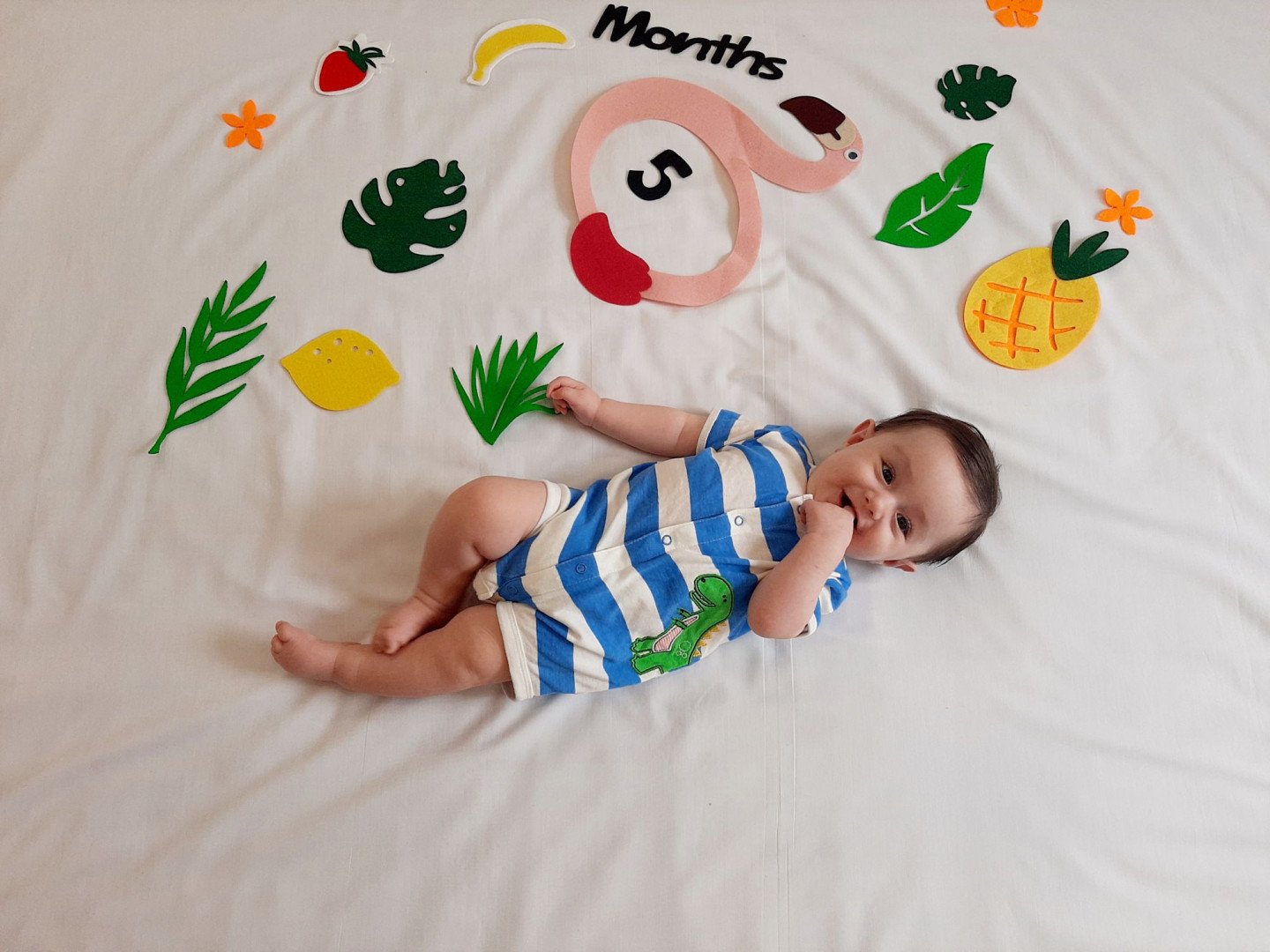 تم تابستانی برسام صالحی