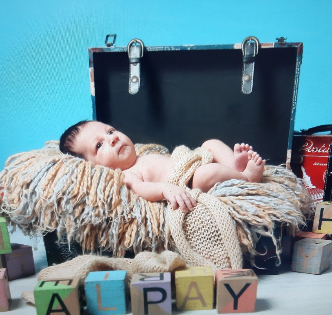 یک ماهگی نوزاد آلپای سیفی