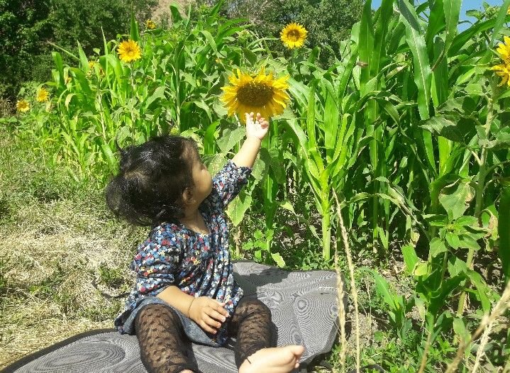 مسابقه تابستان ایه عرب پور