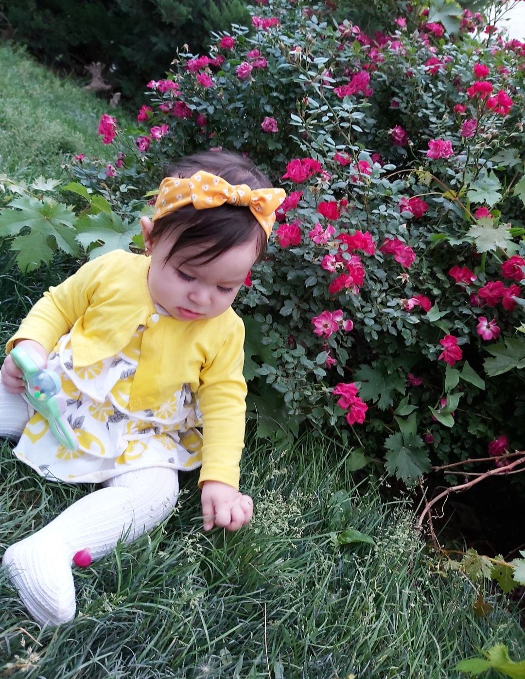 هشت ماهگی نوزاد viana shabani