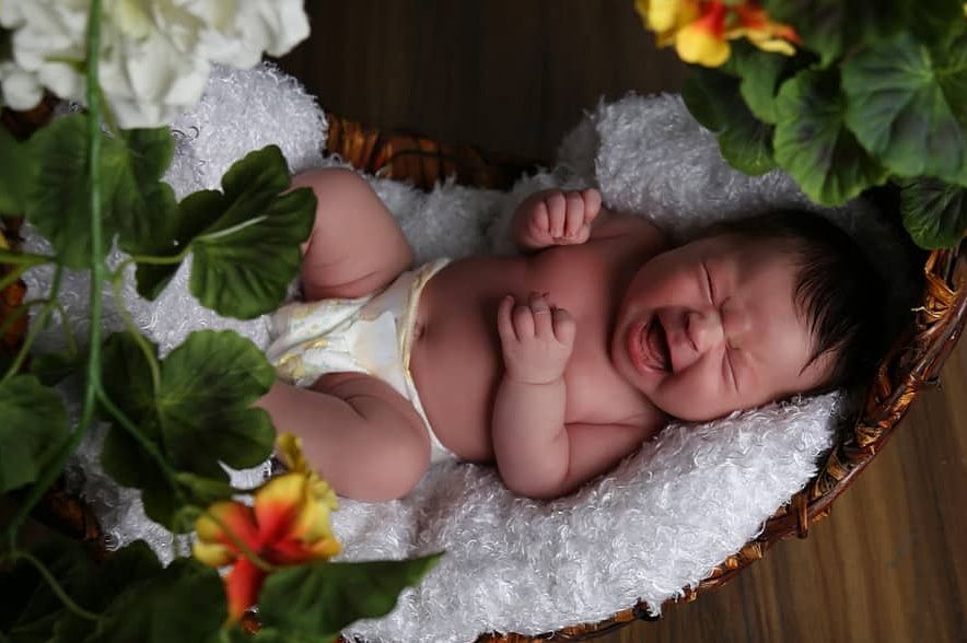 متولد شدن نوزاد viana shabani