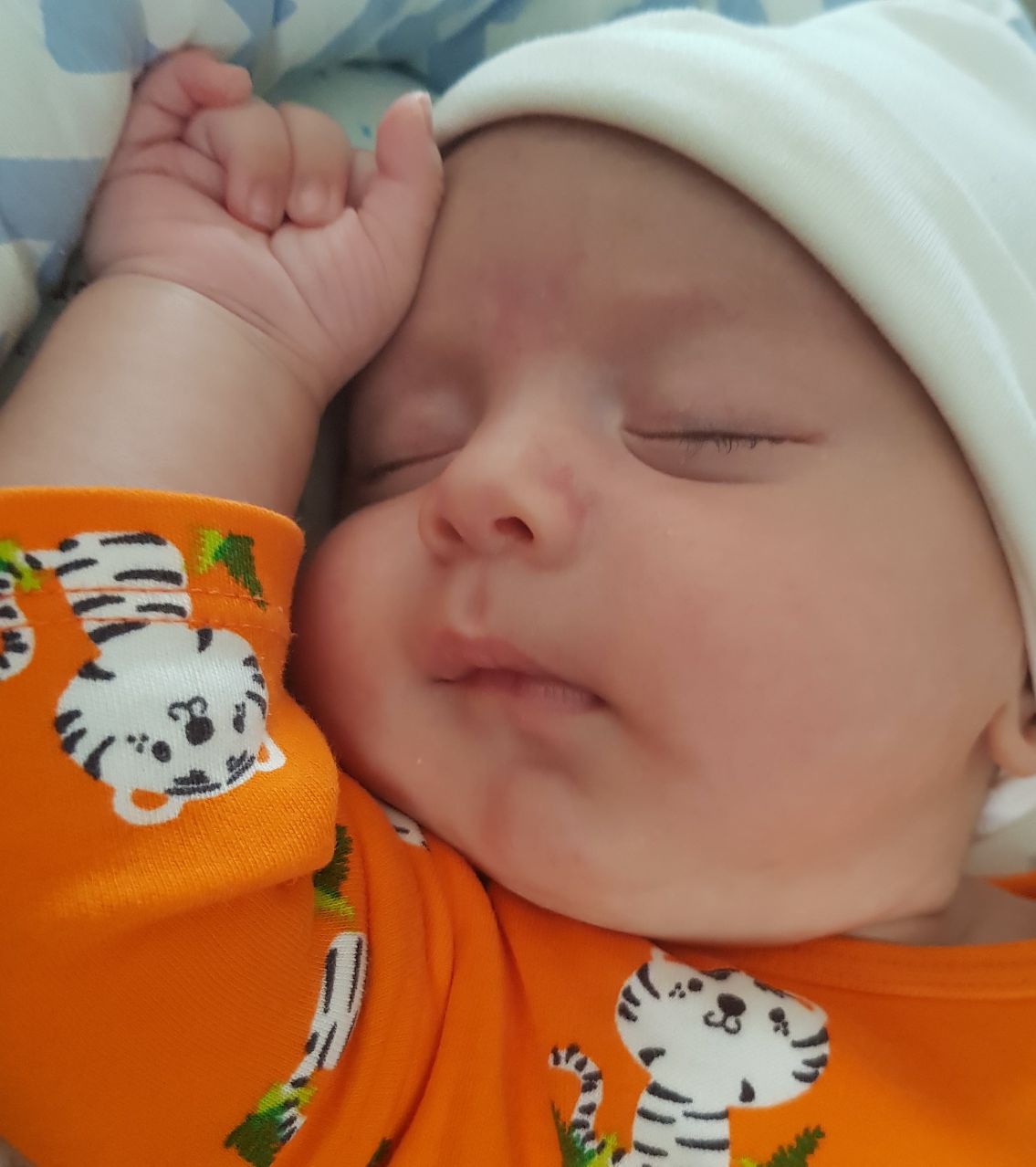 یک ماهگی نوزاد طاها اسلامی