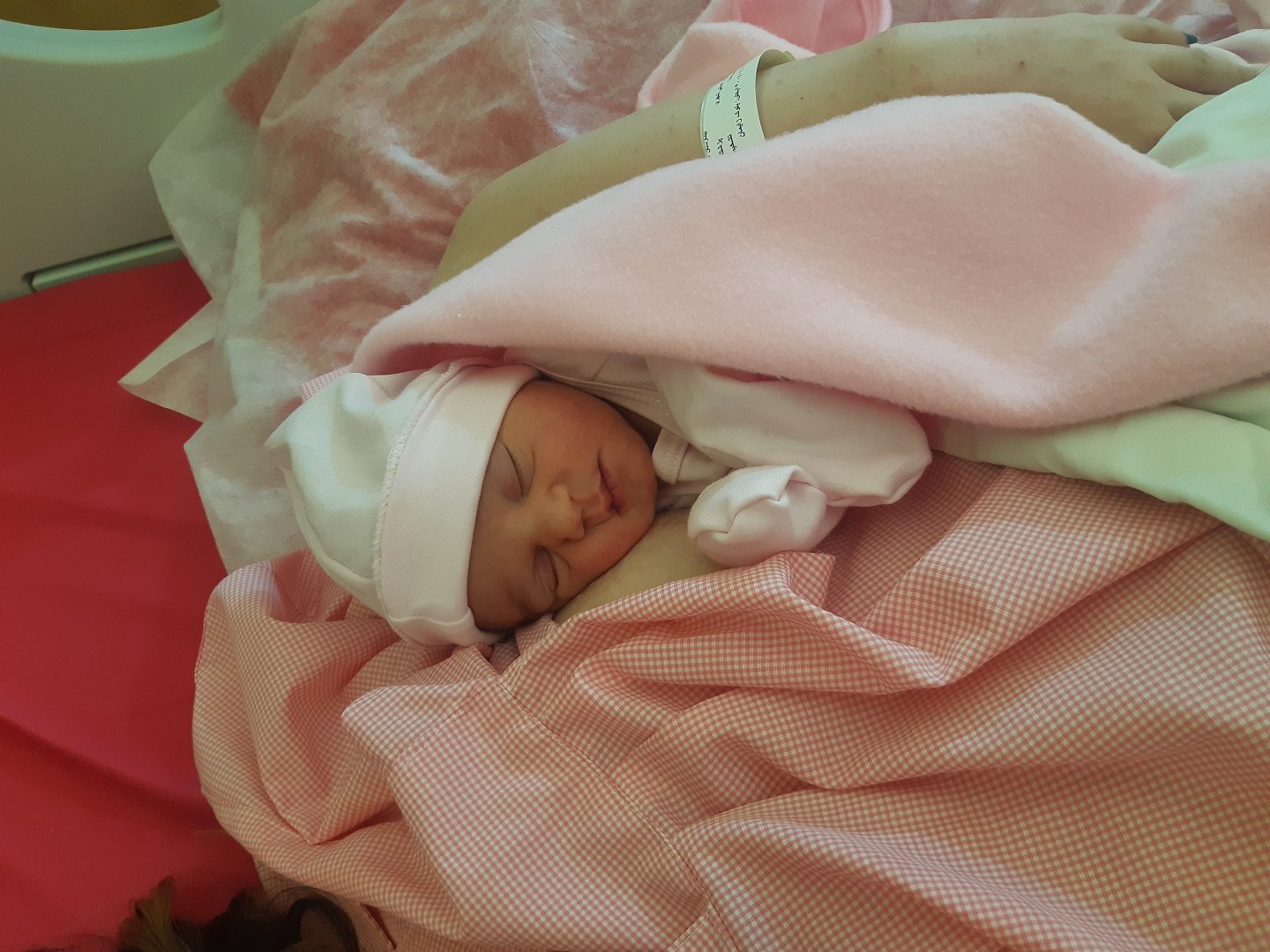 تم عکس بهاری کودک حریر نجفیان