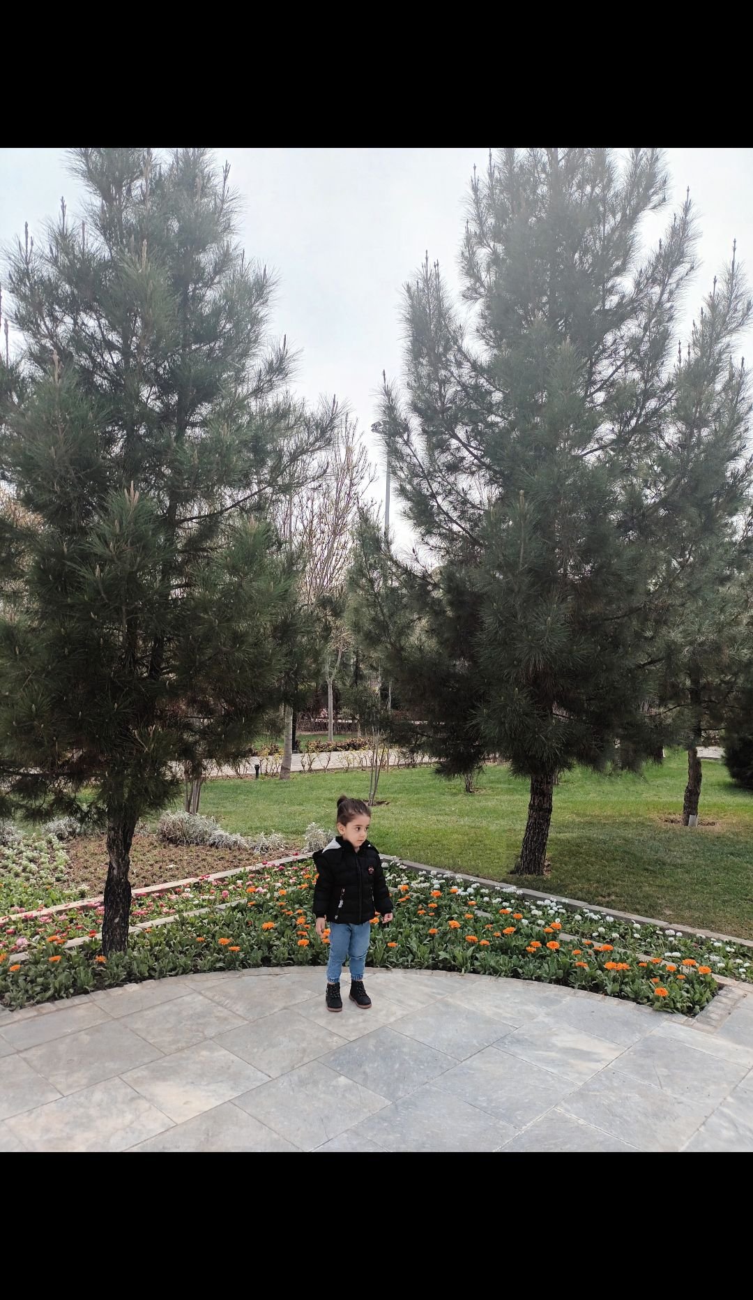 فروردین arsam.jon