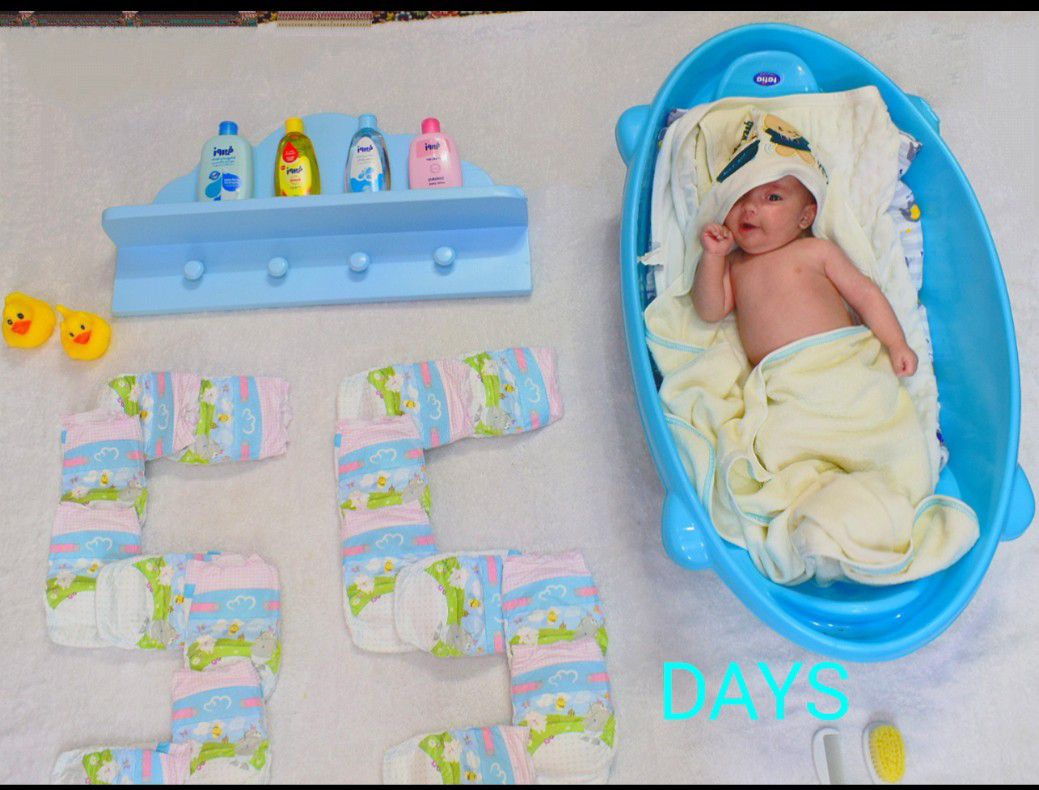 ایده آدریَن شاپورجانی