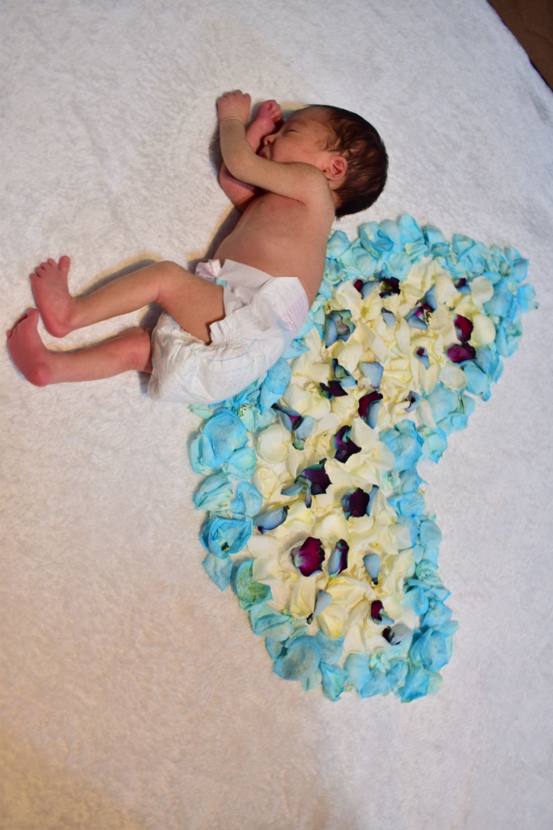 متولد شدن نوزاد آدریَن شاپورجانی