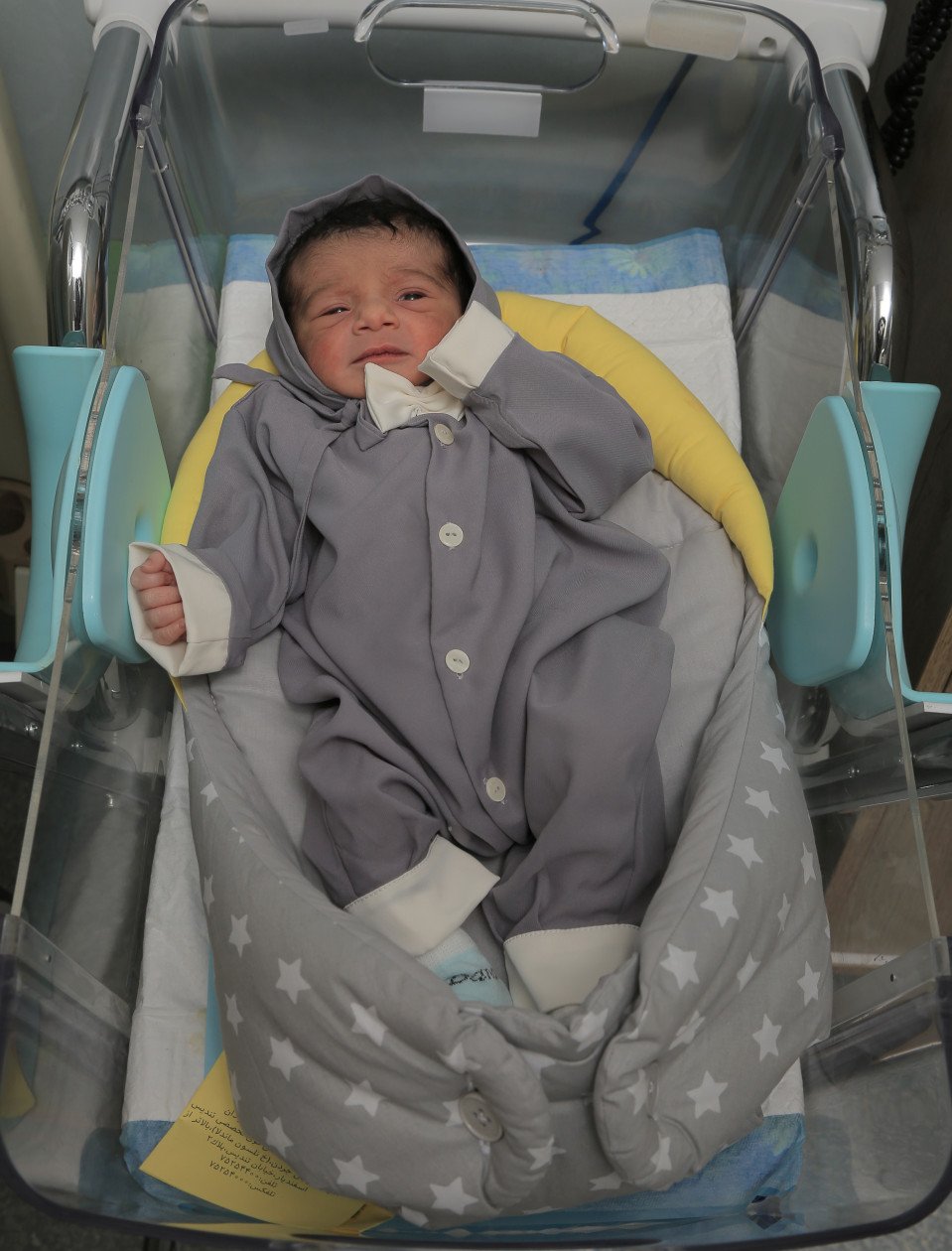 متولد شدن نوزاد بهاره مقیسه