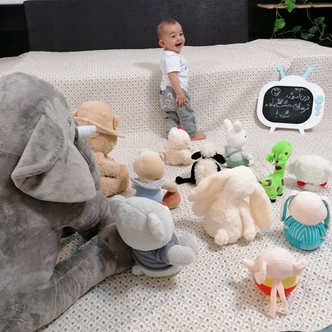 هشت ماهگی نوزاد فرهان دانش