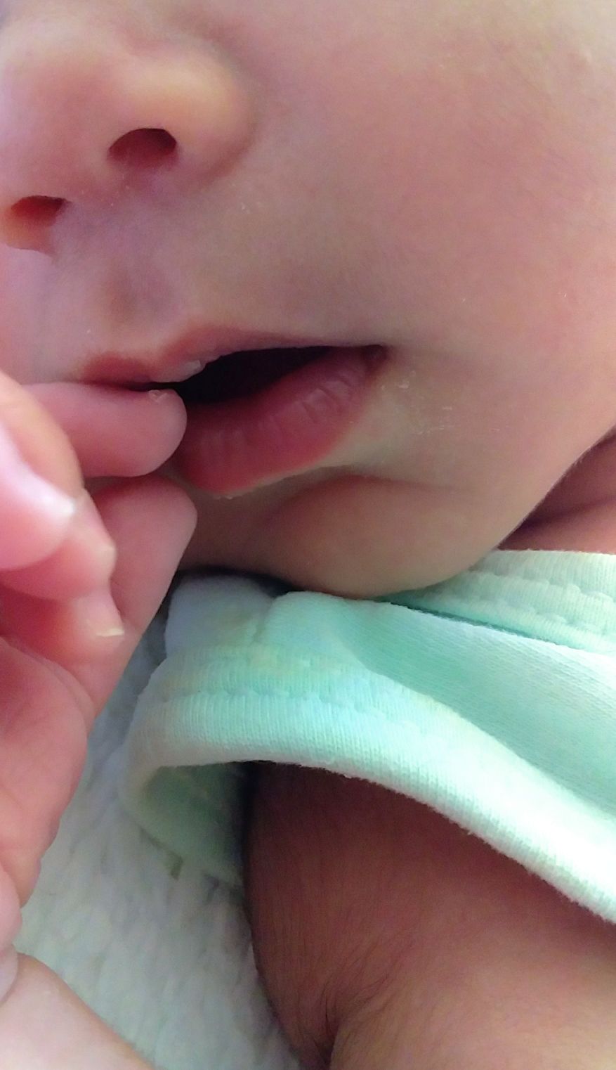 تم عکس تابستانی کودک هیرمان حسینی