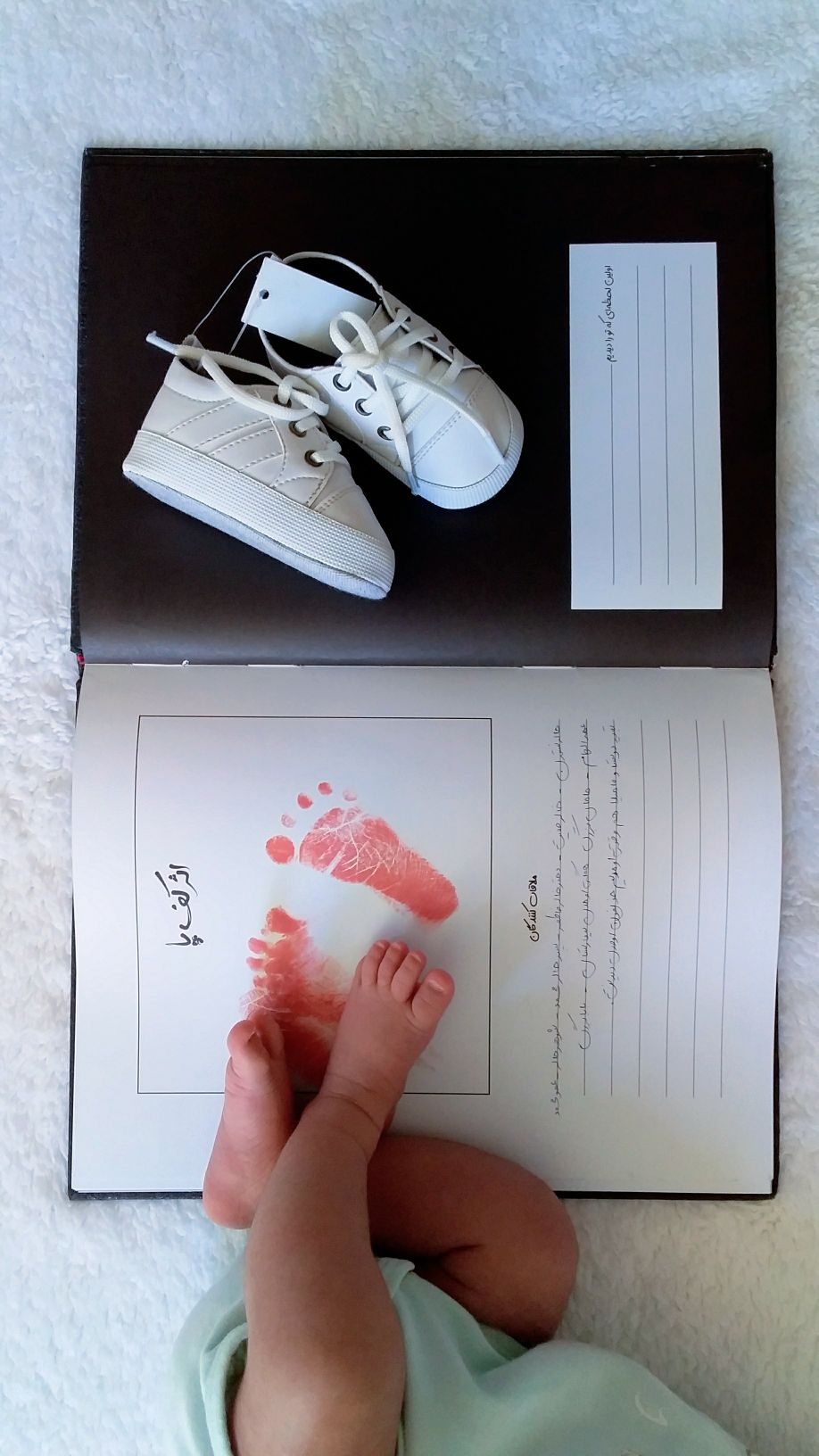 آلبوم خاطرات کودکی هیرمان حسینی