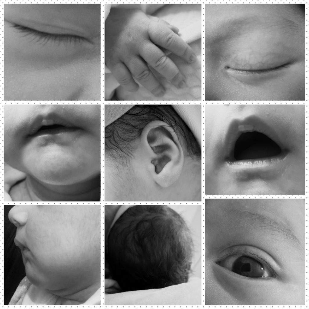 متولد شدن نوزاد delvin