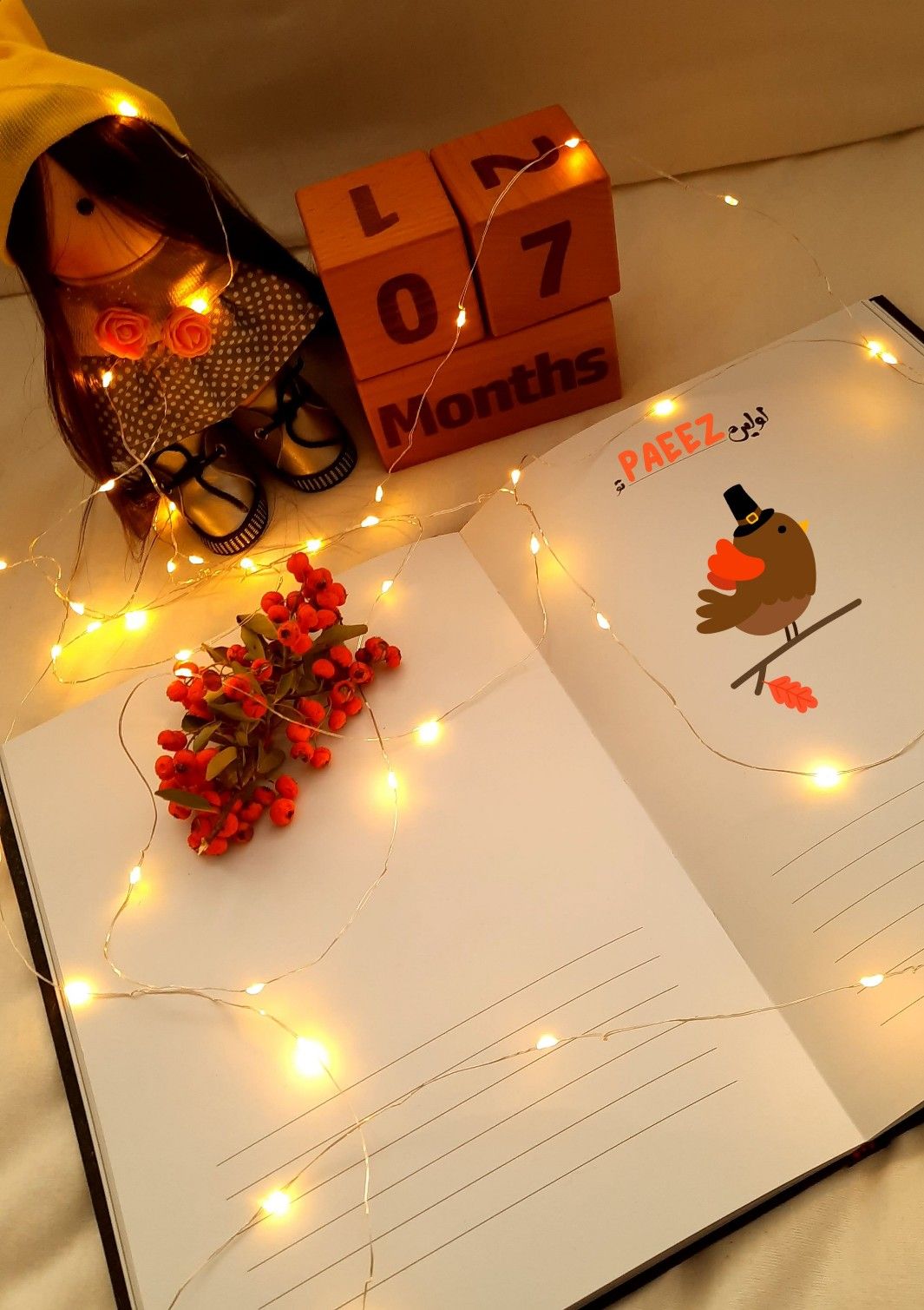 دفترهای-خاطرات-45562