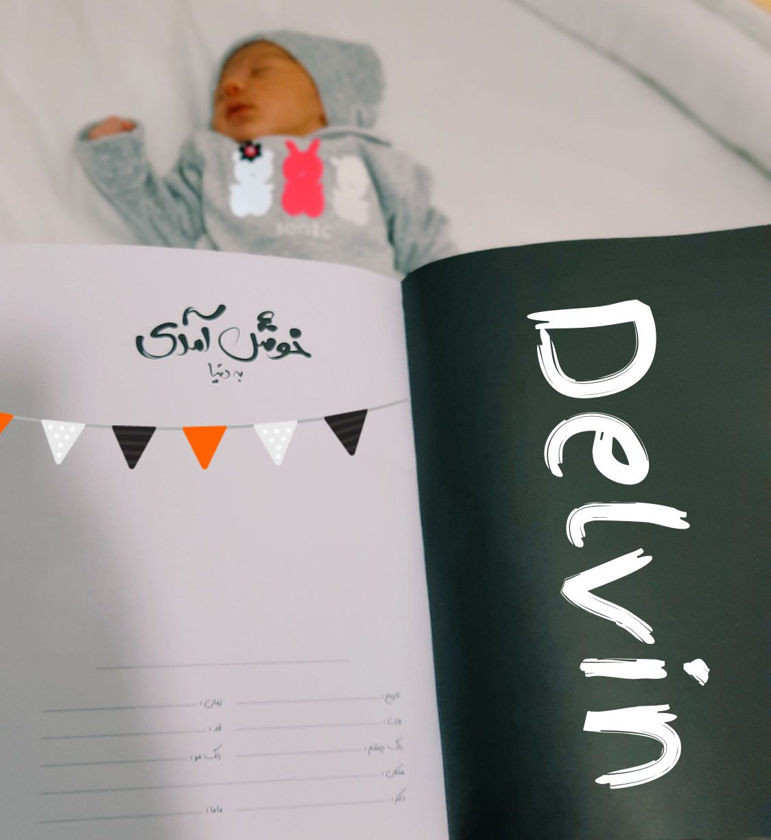 آلبوم خاطرات کودکی delvin