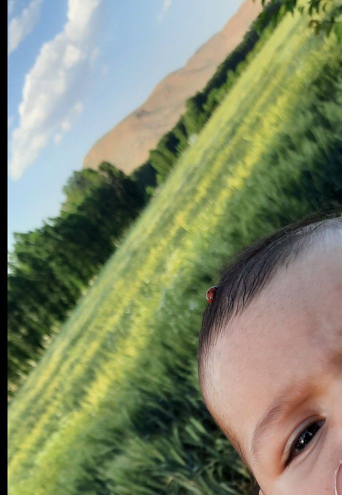 سه ماهگی نوزاد delvin