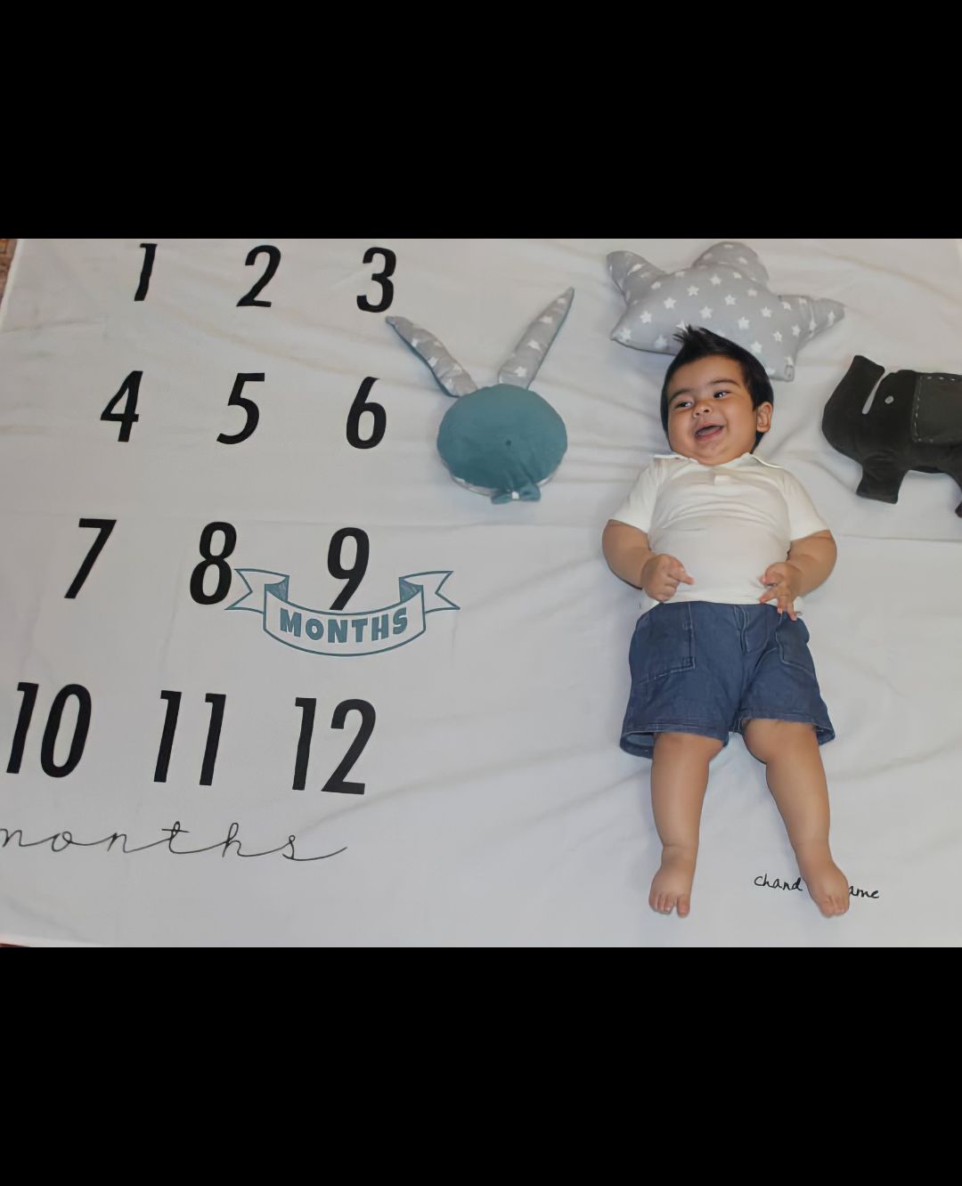 ایده کوروش عنابستانی