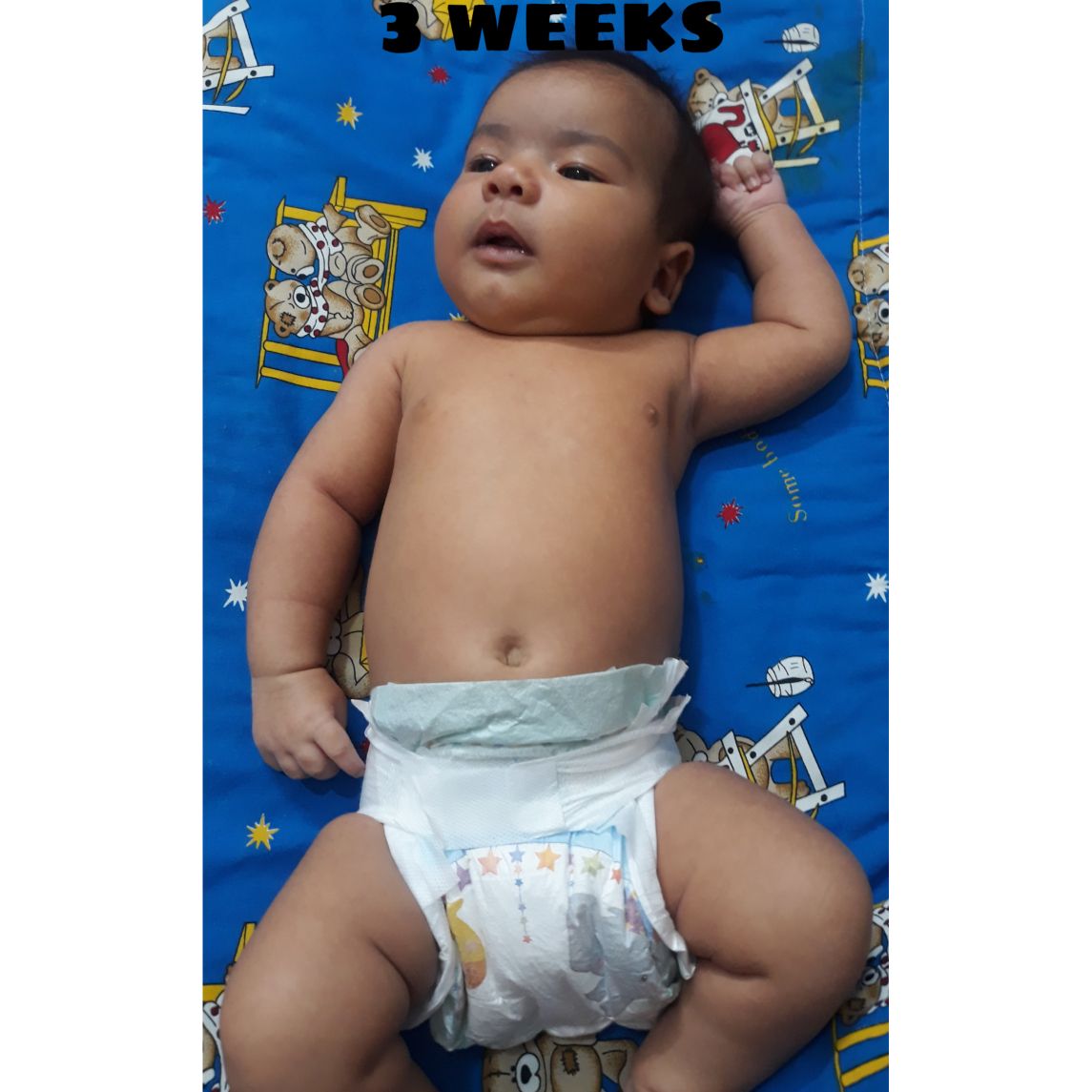 متولد شدن نوزاد کوروش عنابستانی