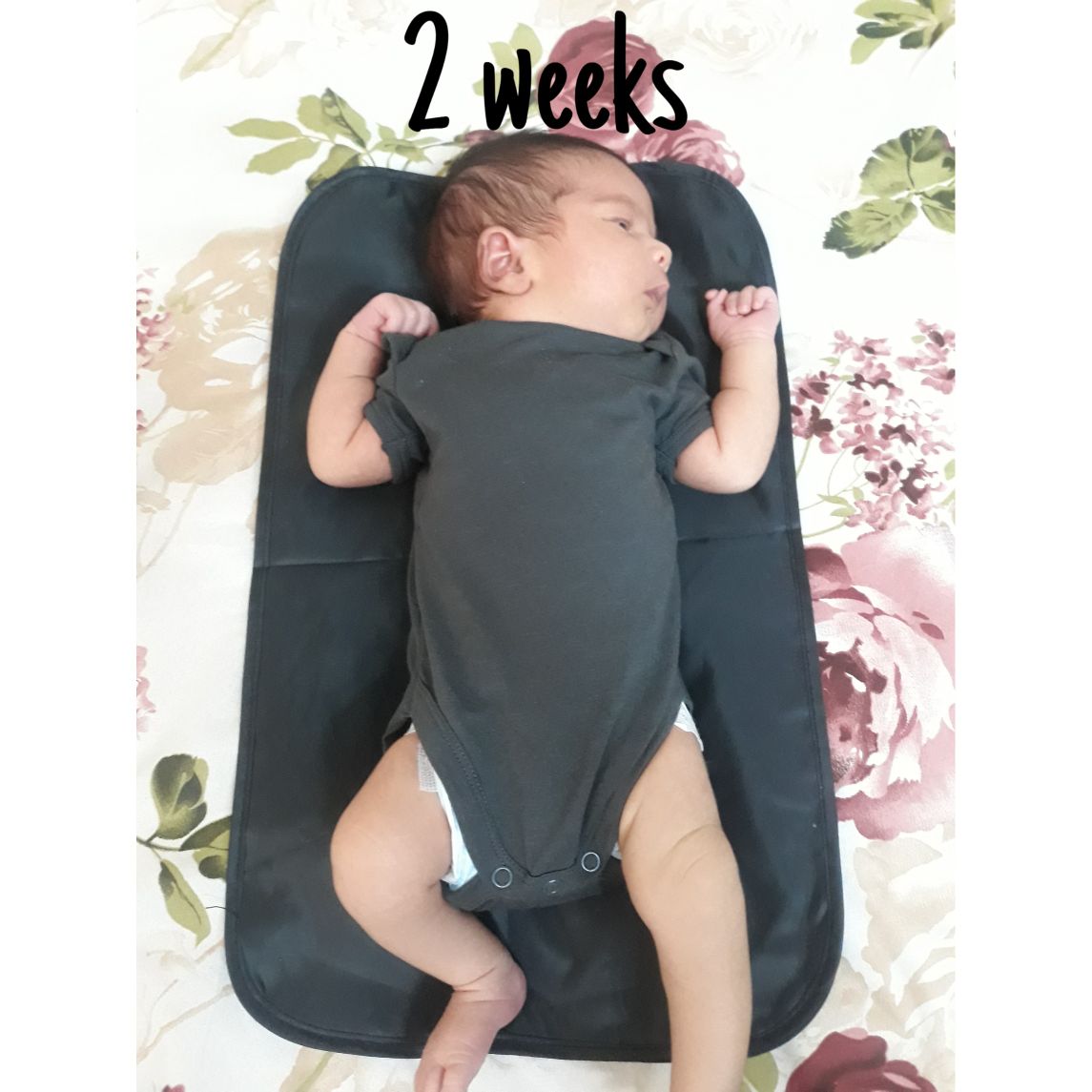 متولد شدن نوزاد کوروش عنابستانی