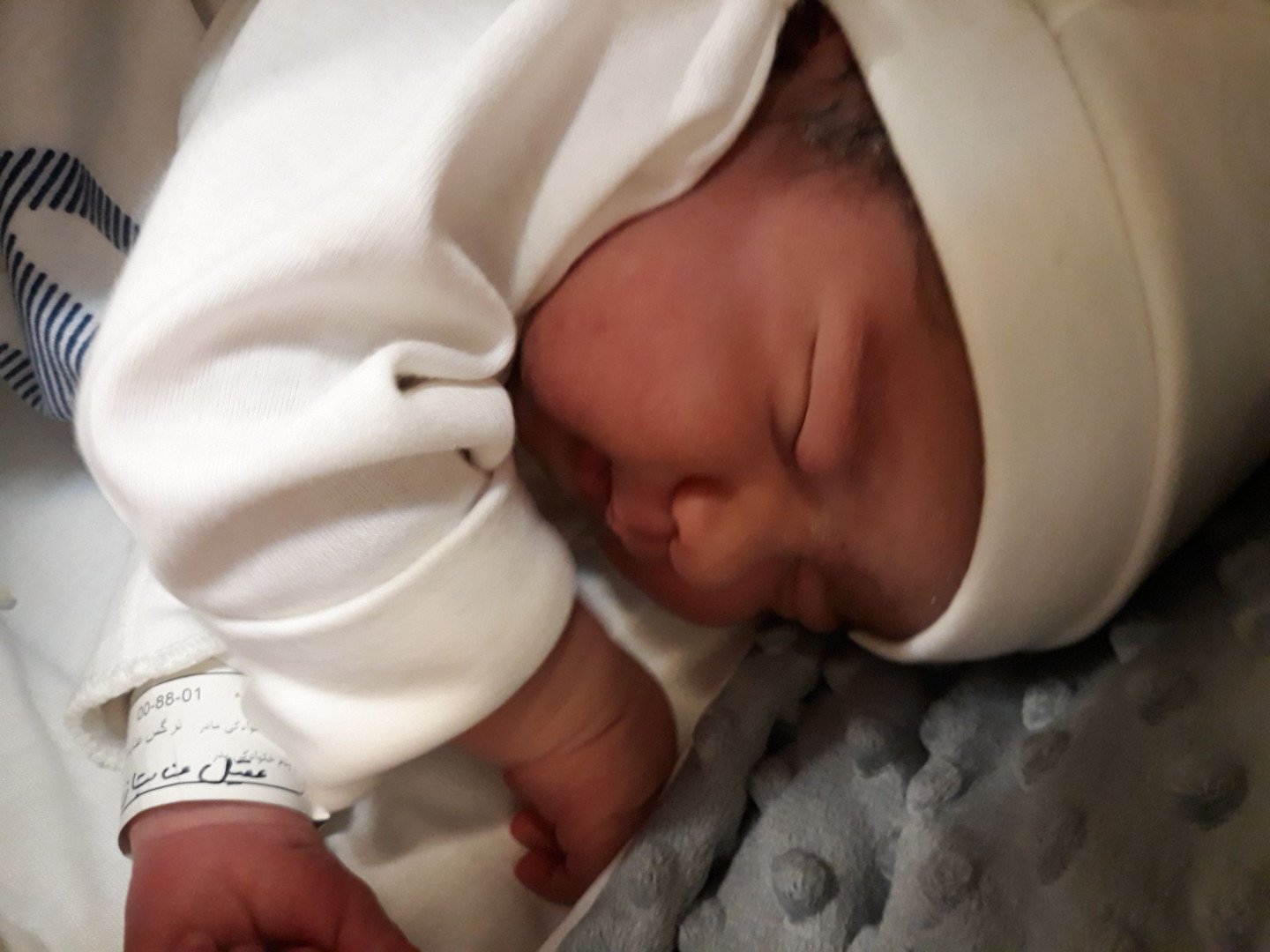 متولد شدن نوزاد کوروش عنابستانی