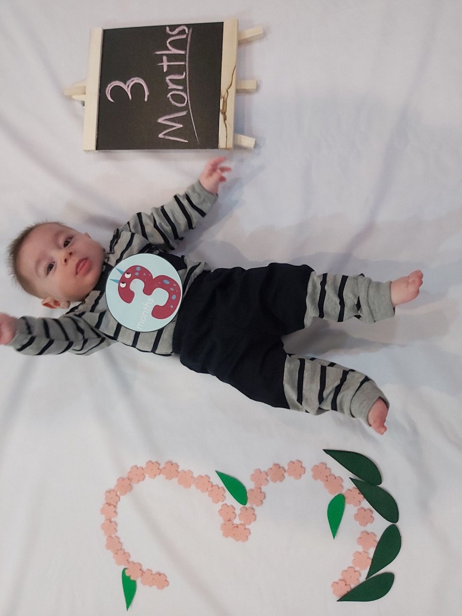 ریسه-و-شکوفه-بهاری-32626