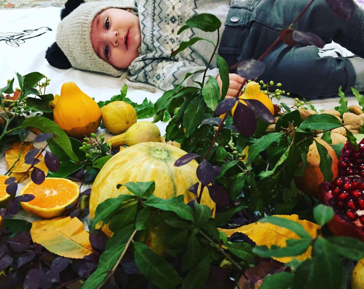 تم عکس پاییزی نوزاد سهند نصیرپور