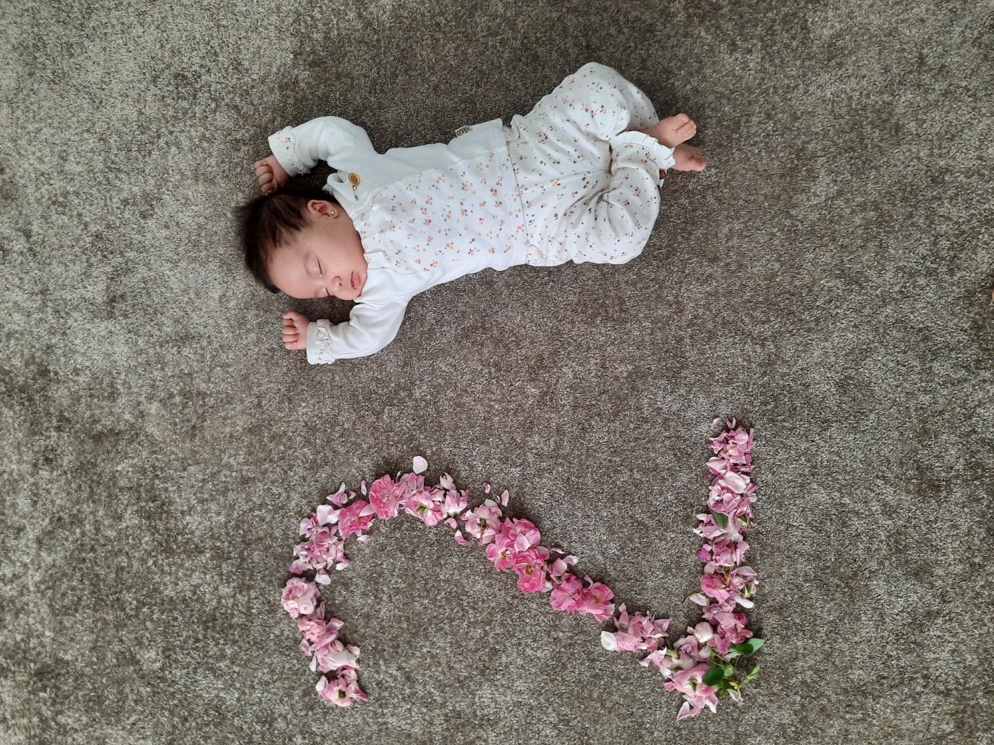 ماه رمضان حلما ندافت