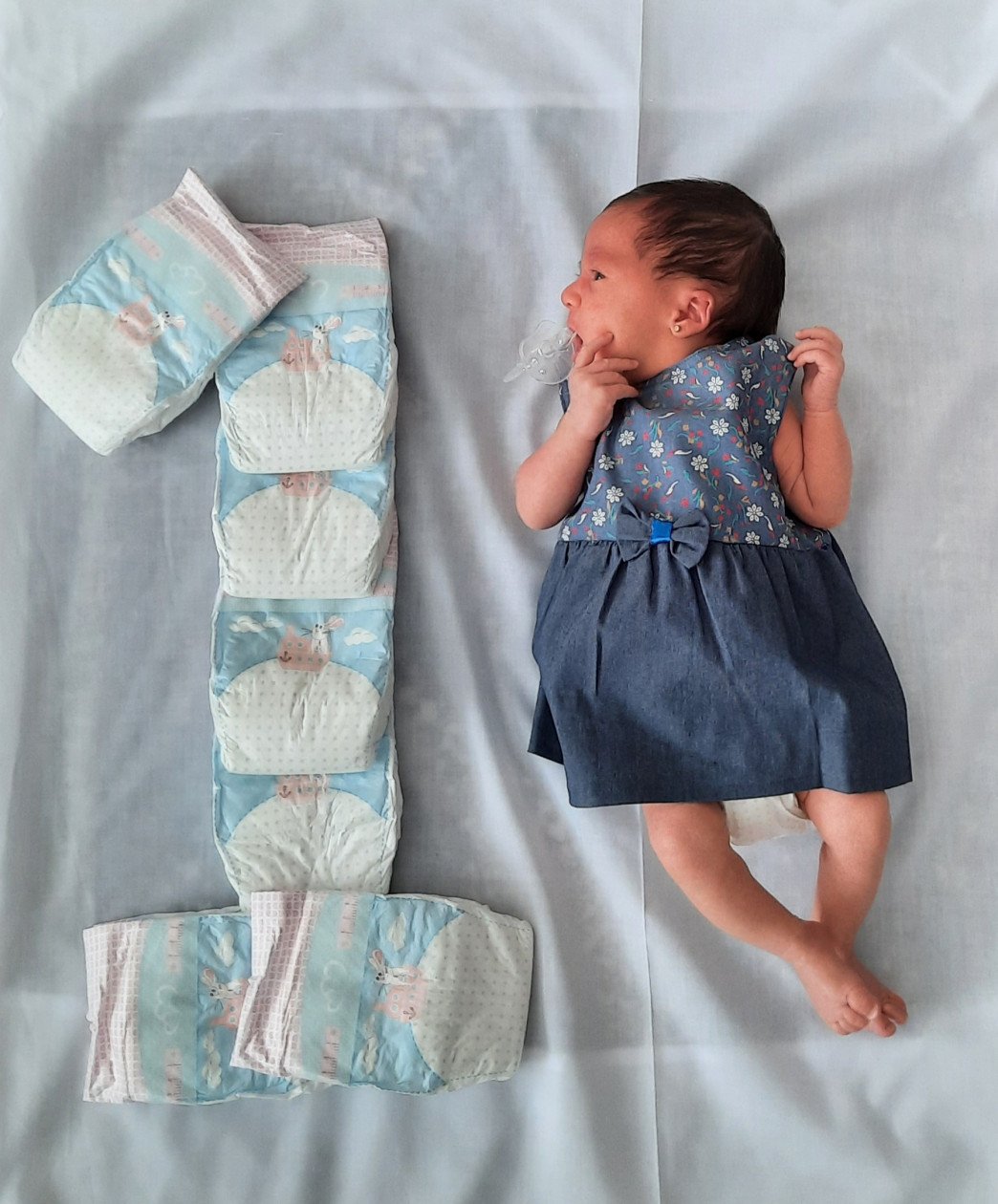 ماه رمضان حلما ندافت