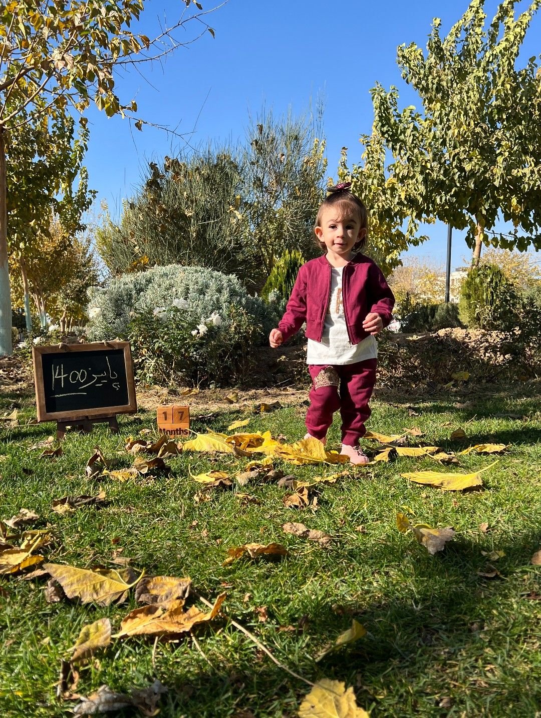 عکس-پاییزی آتریسا علیزاده