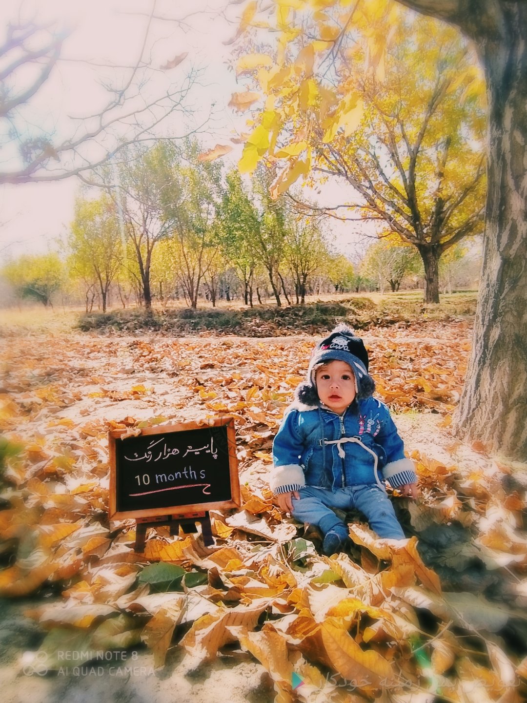 اصلاح موی نوزاد ارسلان صادقی