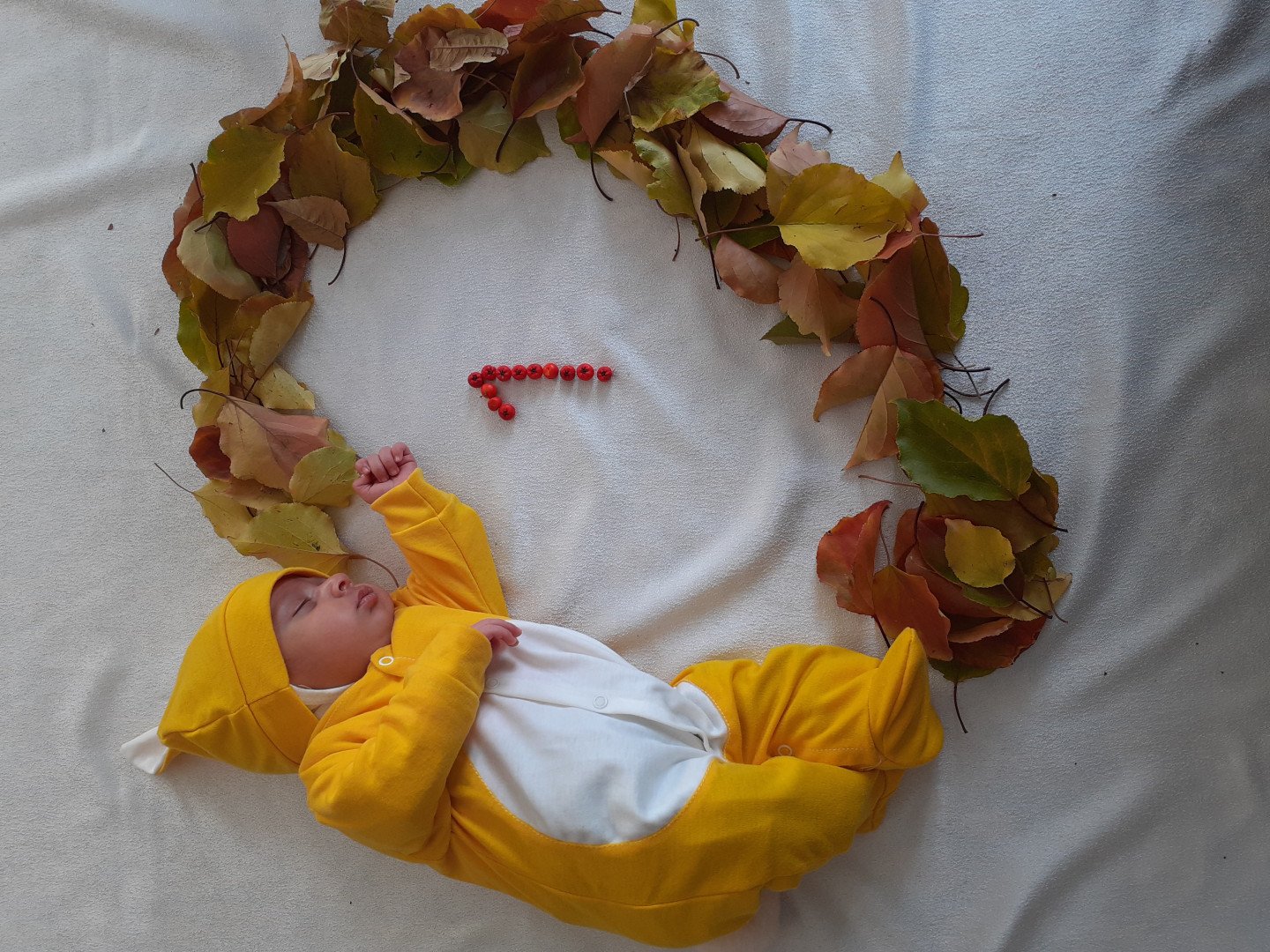 تم عکس پاییزی نوزاد کیانا دهقانی