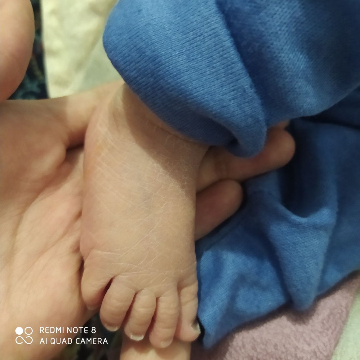 متولد شدن نوزاد ارتین شایان فر