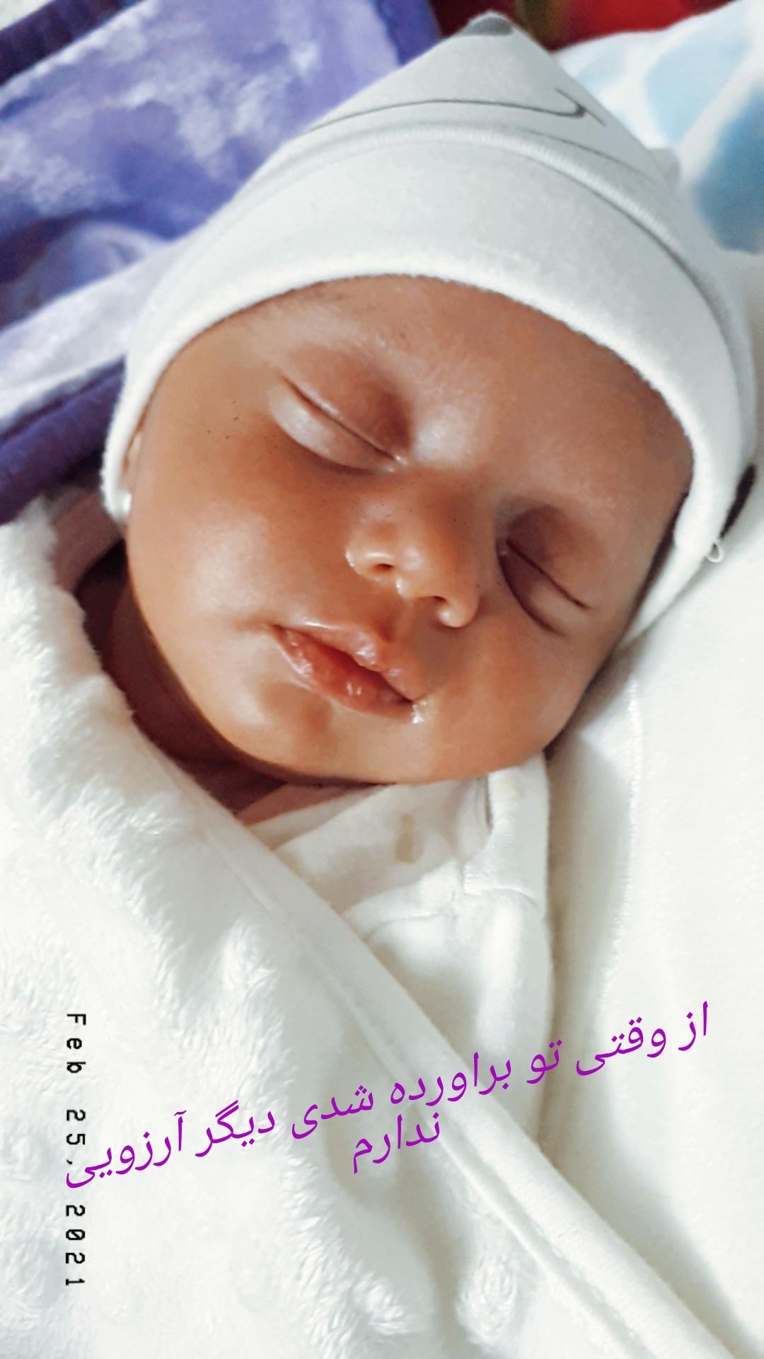 یک ماهگی نوزاد آرتمیس مرقی نیاسری