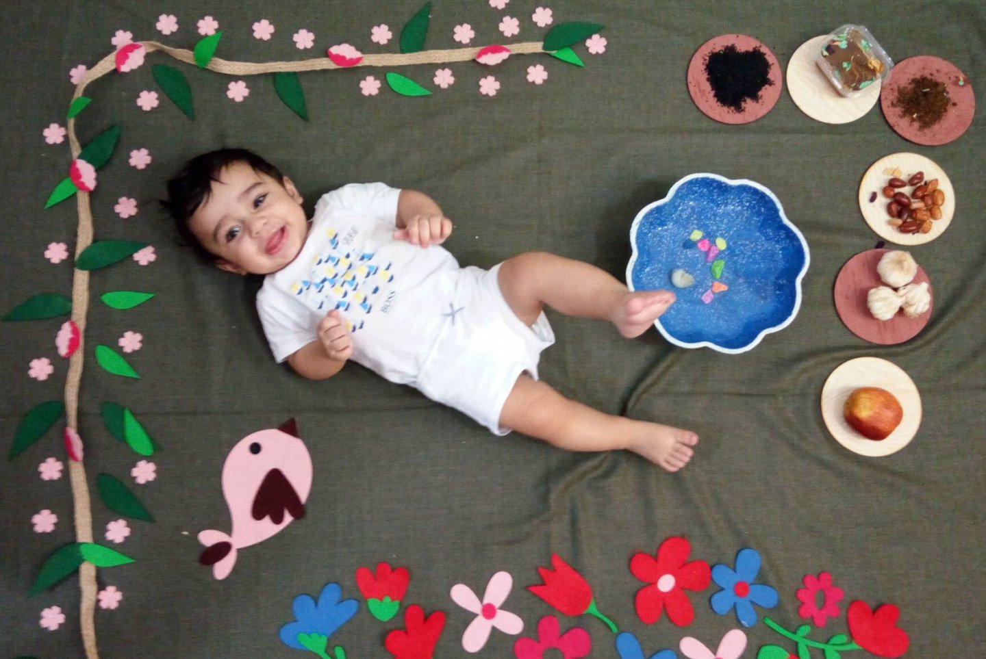 تم عکاسی گل و بلبل هامون سلطانی