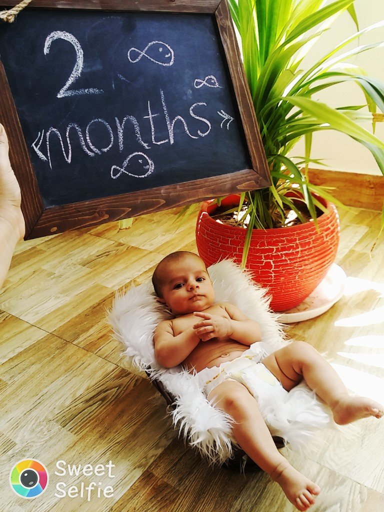 تخته سیاه فانتزی شهریار ملک محمدی