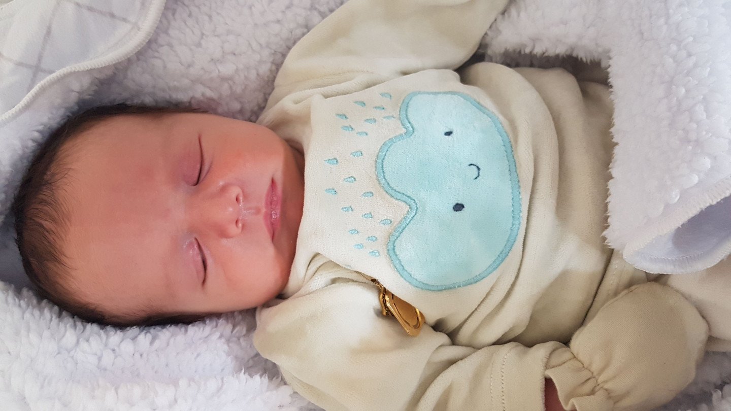 عید نوروز دایان فخری